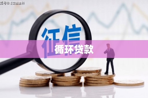 汉南循环贷款
