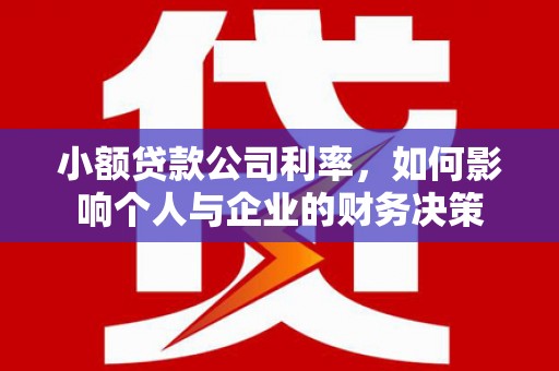 汉南小额贷款公司利率，如何影响个人与企业的财务决策