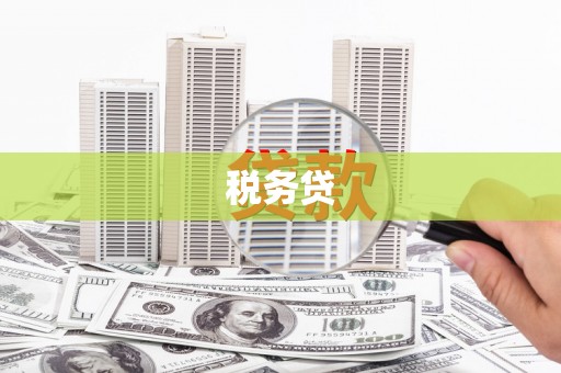 汉南税务贷