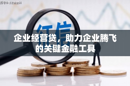 汉南企业经营贷，助力企业腾飞的关键金融工具