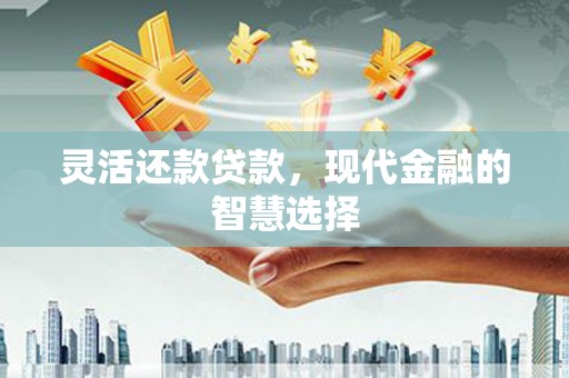 汉南灵活还款贷款，现代金融的智慧选择
