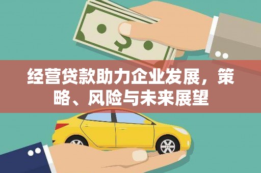 汉南经营贷款助力企业发展，策略、风险与未来展望