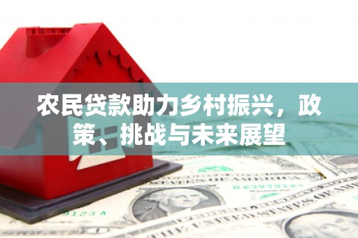 汉南农民贷款助力乡村振兴，政策、挑战与未来展望
