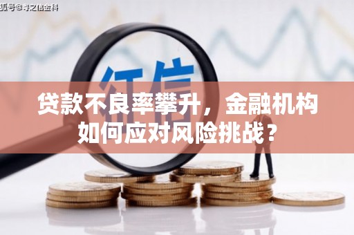 汉南贷款不良率攀升，金融机构如何应对风险挑战？