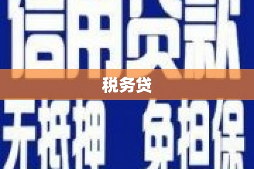 汉南税务贷