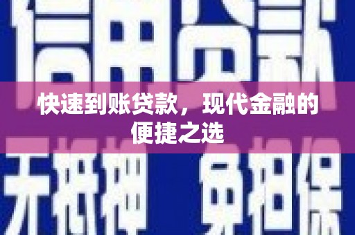 汉南快速到账贷款，现代金融的便捷之选