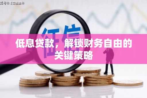汉南低息贷款，解锁财务自由的关键策略