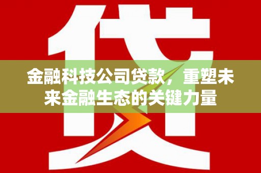 汉南金融科技公司贷款，重塑未来金融生态的关键力量