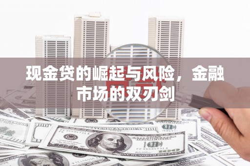 汉南现金贷的崛起与风险，金融市场的双刃剑