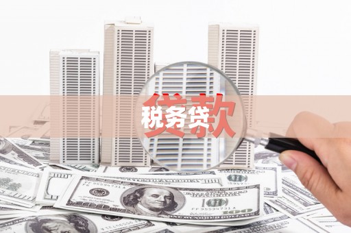 汉南税务贷
