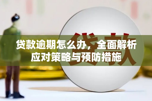 汉南贷款逾期怎么办，全面解析应对策略与预防措施