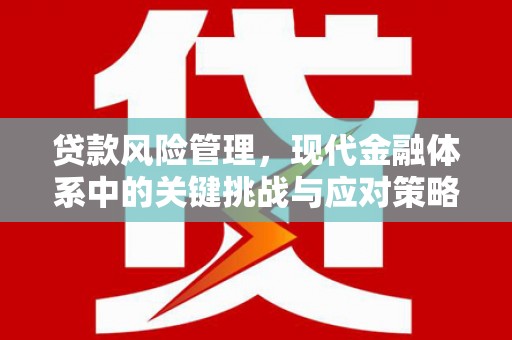 汉南贷款风险管理，现代金融体系中的关键挑战与应对策略