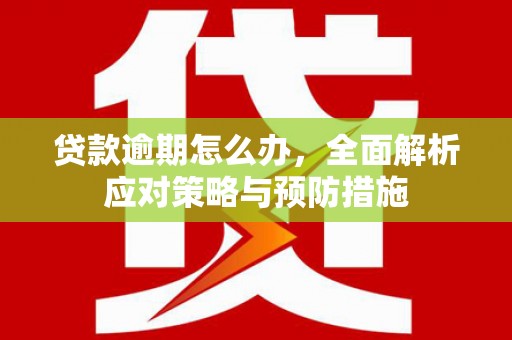 汉南贷款逾期怎么办，全面解析应对策略与预防措施