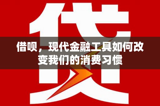 汉南借呗，现代金融工具如何改变我们的消费习惯