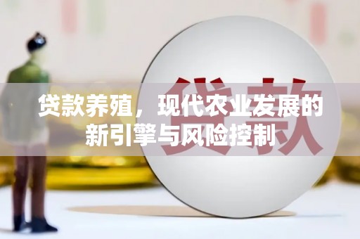 汉南贷款养殖，现代农业发展的新引擎与风险控制