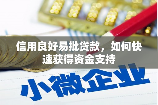 汉南信用良好易批贷款，如何快速获得资金支持