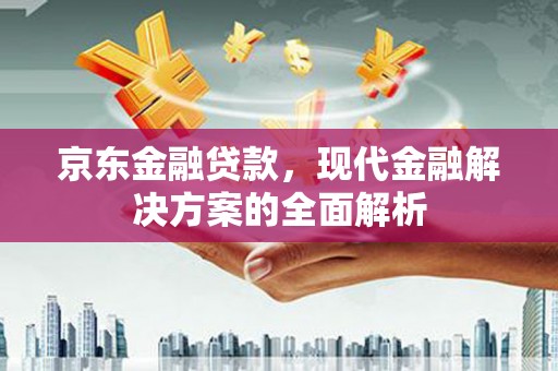 汉南京东金融贷款，现代金融解决方案的全面解析