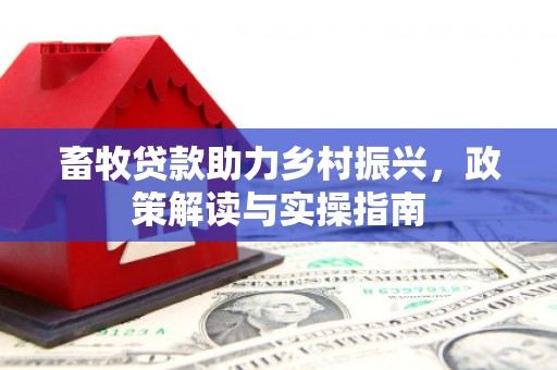 汉南畜牧贷款助力乡村振兴，政策解读与实操指南