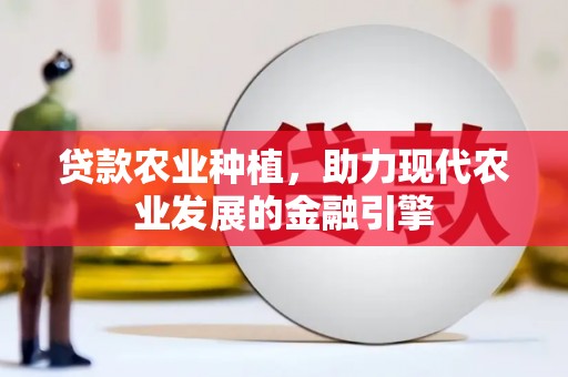 汉南贷款农业种植，助力现代农业发展的金融引擎