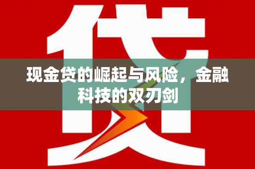 汉南现金贷的崛起与风险，金融科技的双刃剑