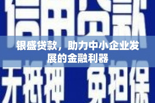 汉南银盛贷款，助力中小企业发展的金融利器