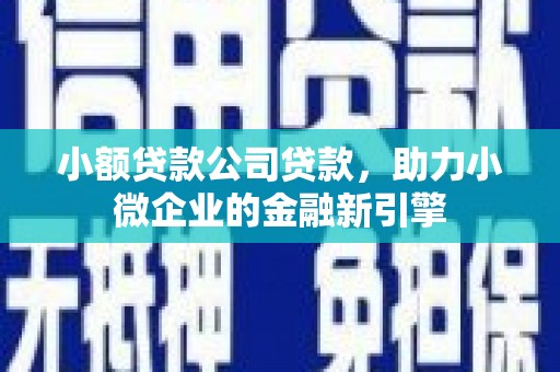 汉南小额贷款公司贷款，助力小微企业的金融新引擎