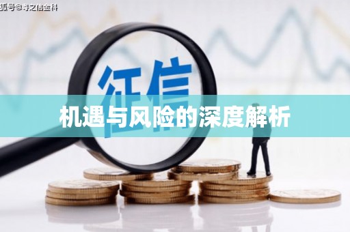 汉南机遇与风险的深度解析
