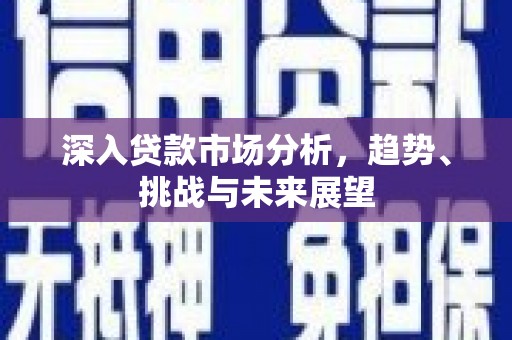 汉南深入贷款市场分析，趋势、挑战与未来展望