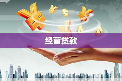 汉南经营贷款