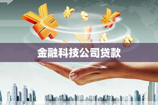 汉南金融科技公司贷款