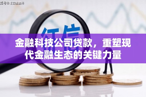 汉南金融科技公司贷款，重塑现代金融生态的关键力量