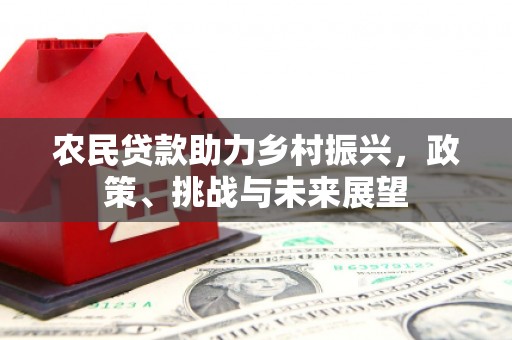 汉南农民贷款助力乡村振兴，政策、挑战与未来展望