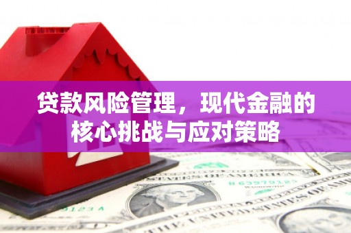 汉南贷款风险管理，现代金融的核心挑战与应对策略
