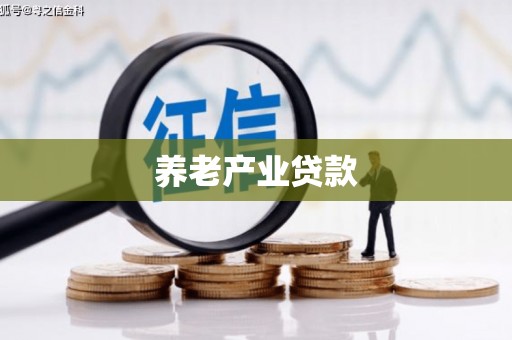 汉南养老产业贷款