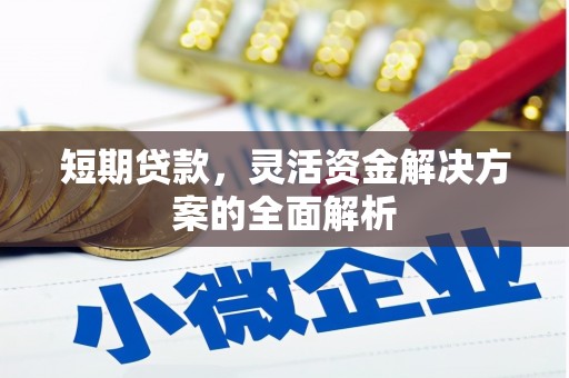 汉南短期贷款，灵活资金解决方案的全面解析