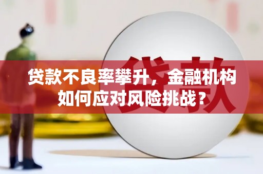 汉南贷款不良率攀升，金融机构如何应对风险挑战？