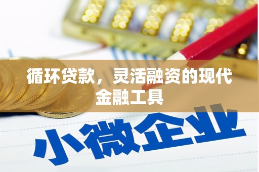 汉南循环贷款，灵活融资的现代金融工具