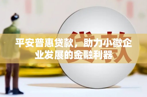 汉南平安普惠贷款，助力小微企业发展的金融利器