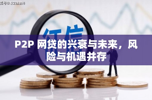 汉南P2P 网贷的兴衰与未来，风险与机遇并存