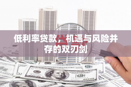 汉南低利率贷款，机遇与风险并存的双刃剑