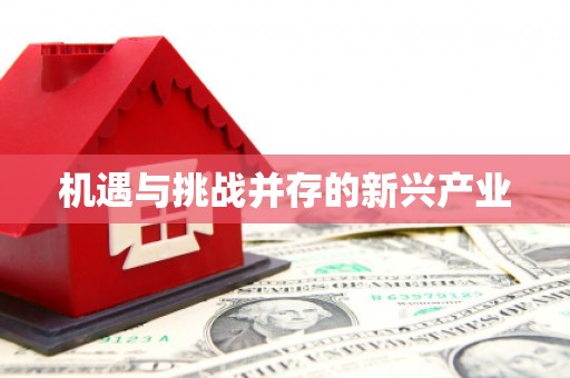 汉南机遇与挑战并存的新兴产业