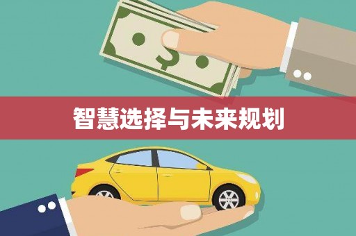汉南智慧选择与未来规划