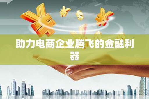 汉南助力电商企业腾飞的金融利器