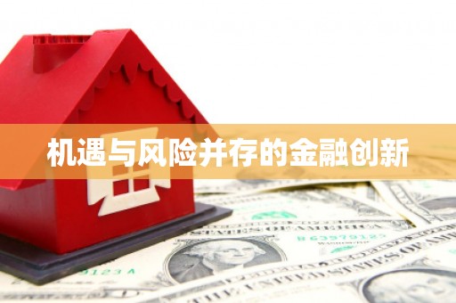 汉南机遇与风险并存的金融创新