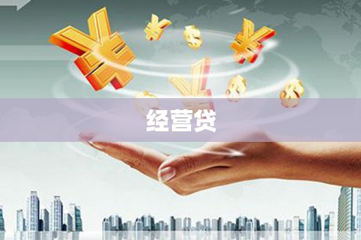 汉南经营贷