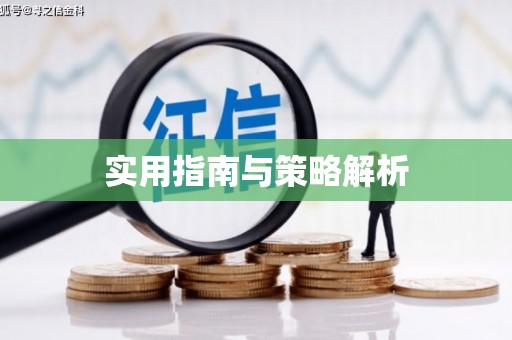 汉南实用指南与策略解析