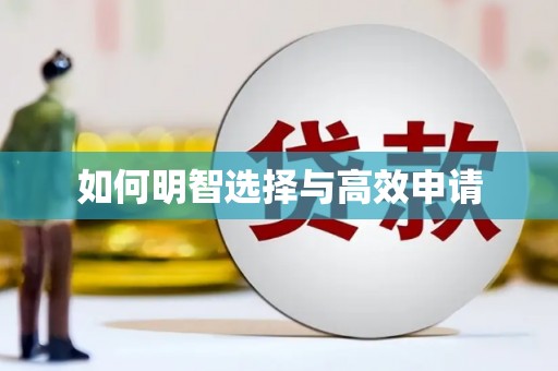 汉南如何明智选择与高效申请