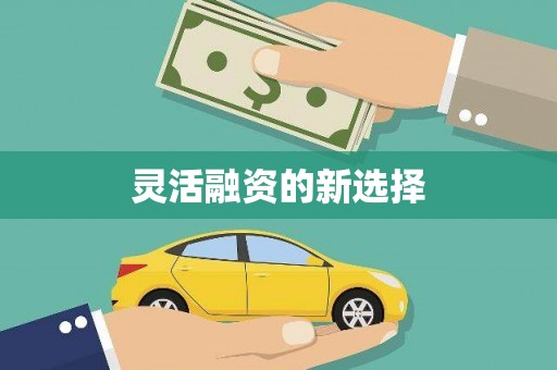 汉南灵活融资的新选择