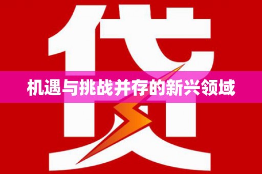 汉南机遇与挑战并存的新兴领域