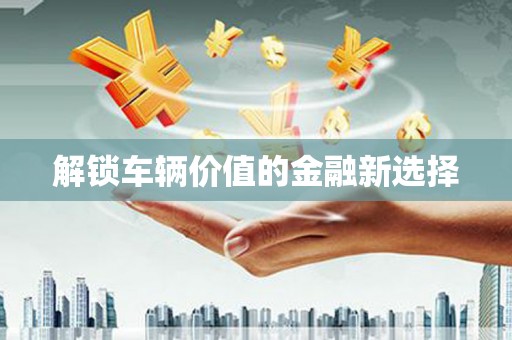 汉南解锁车辆价值的金融新选择